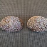 Duo of vacuum pearlescent bags in abalone shell