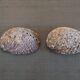 Duo of vacuum pearlescent bags in abalone shell