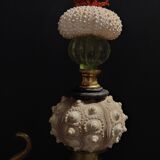 Cabinet of Curiosities composition with sea urchins and gorgon paramuricea clavata