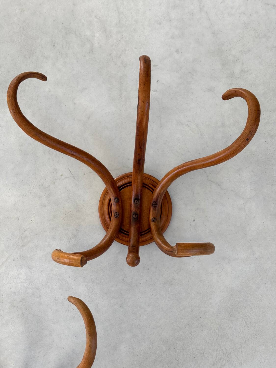 Pair of curved wooden coat racks or hooks from the 1900s