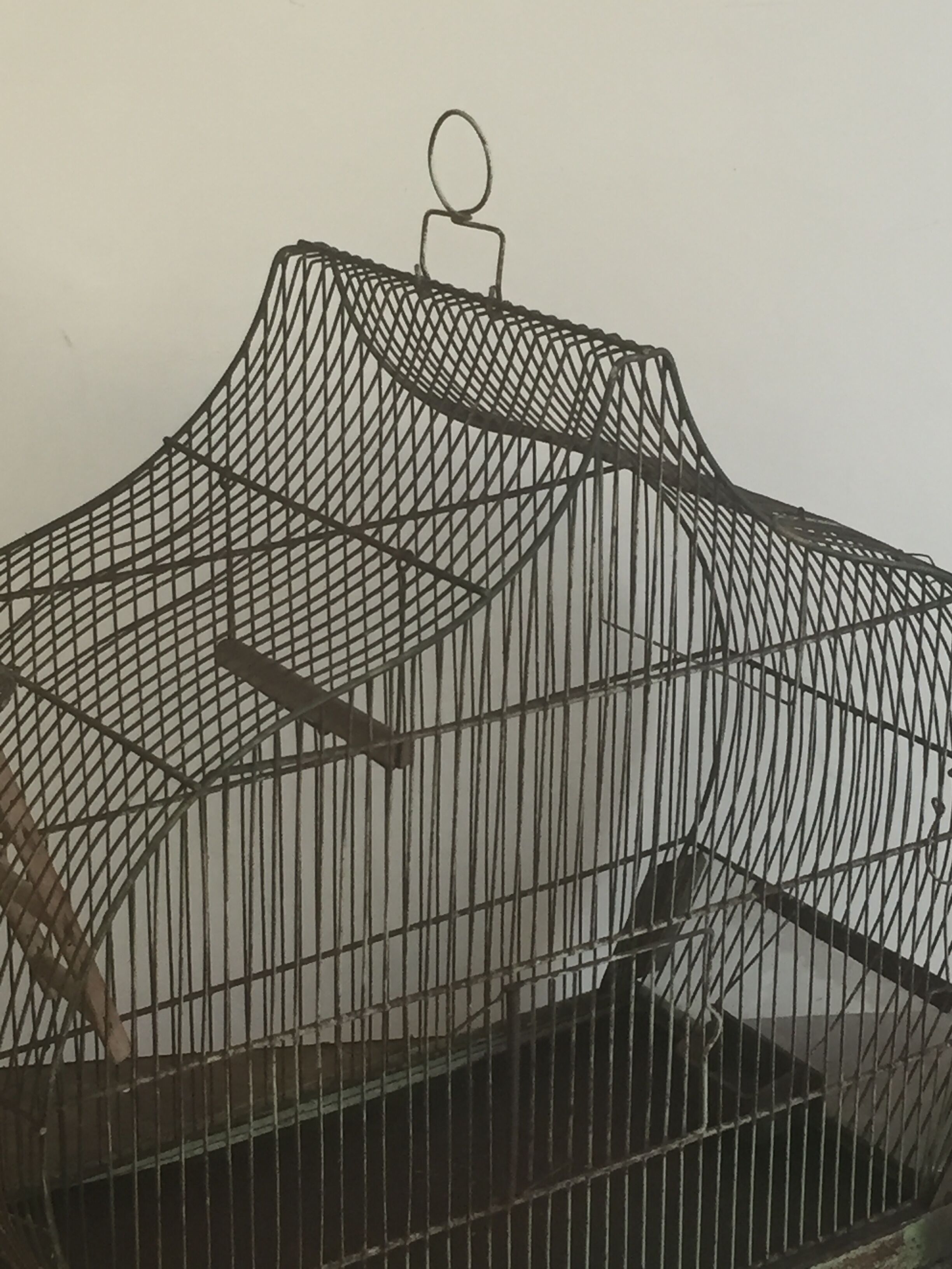 Old birdcage