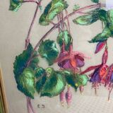 Old pastel Fuchsias framed