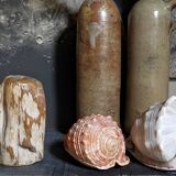Free form sculpture in fossil wood