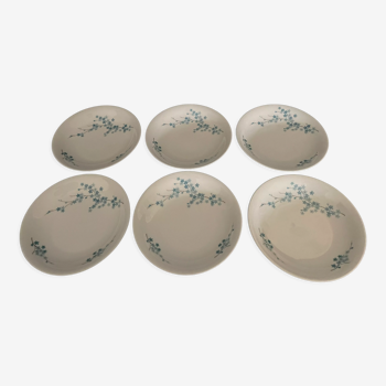 6 assiettes en porcelaine de Limoge