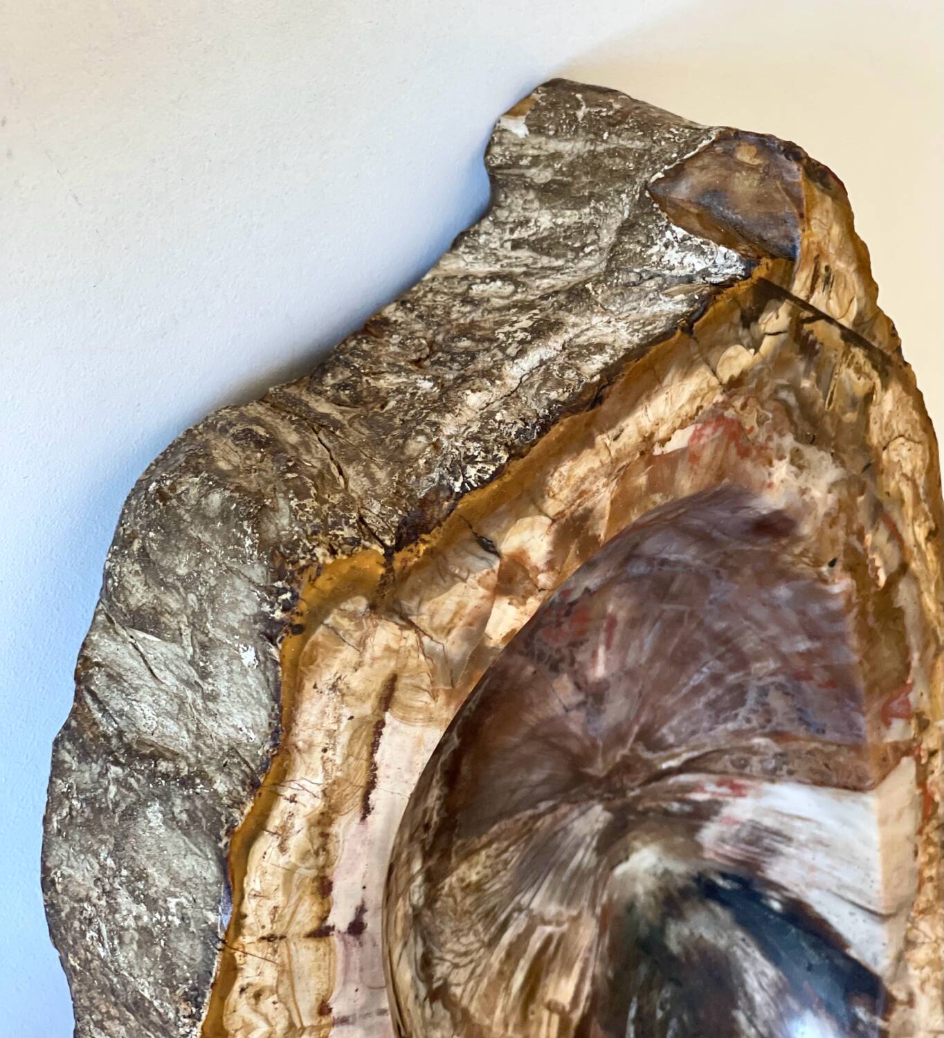 Petrified wood catchall