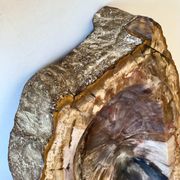 Petrified wood catchall