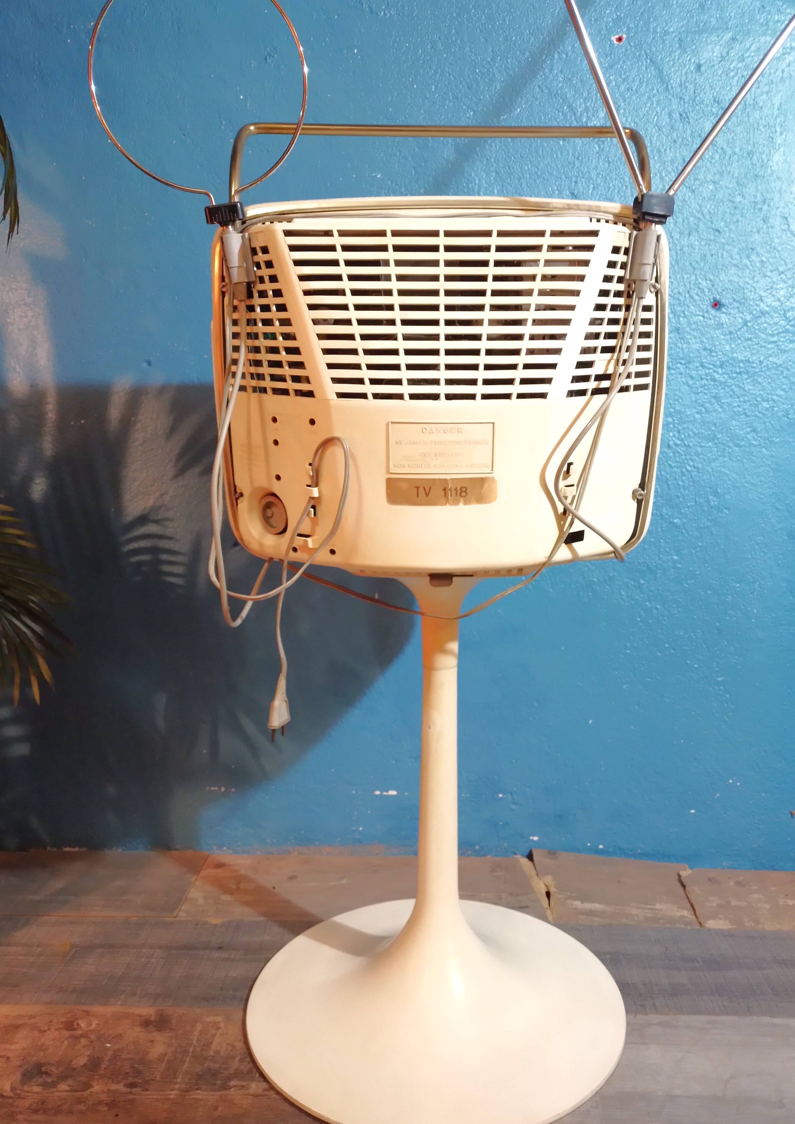 Ribet Desjardins television 1970s