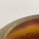 Circular glass bowl - hand-painted by Jean Simon Peynaud