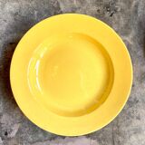 11 hollow plates in yellow earthenware