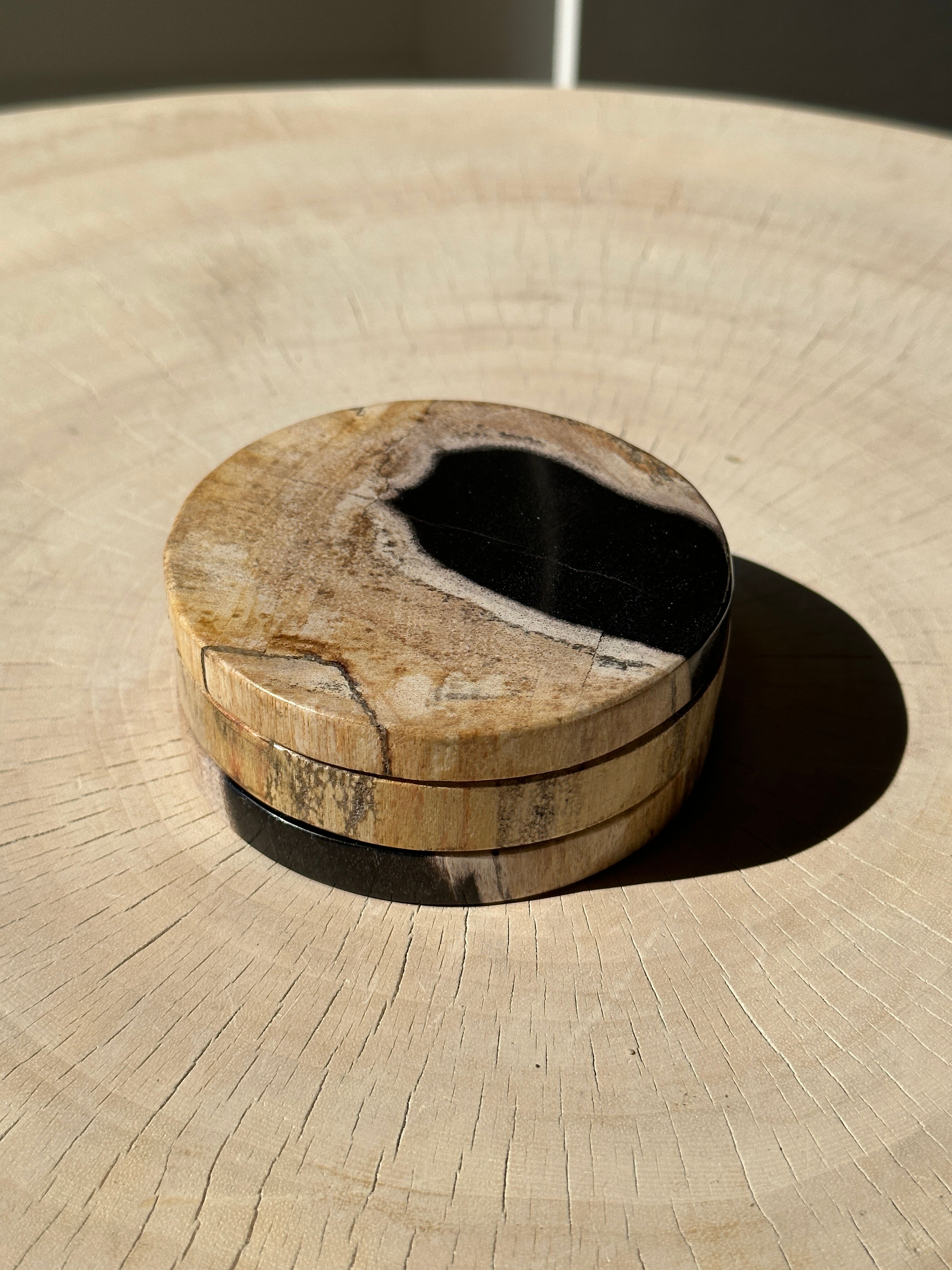 Set of 3 fossilized wooden coasters (clear)