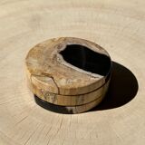 Set of 3 fossilized wooden coasters (clear)