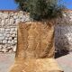 Tapis M’rirt camel 200x300cm