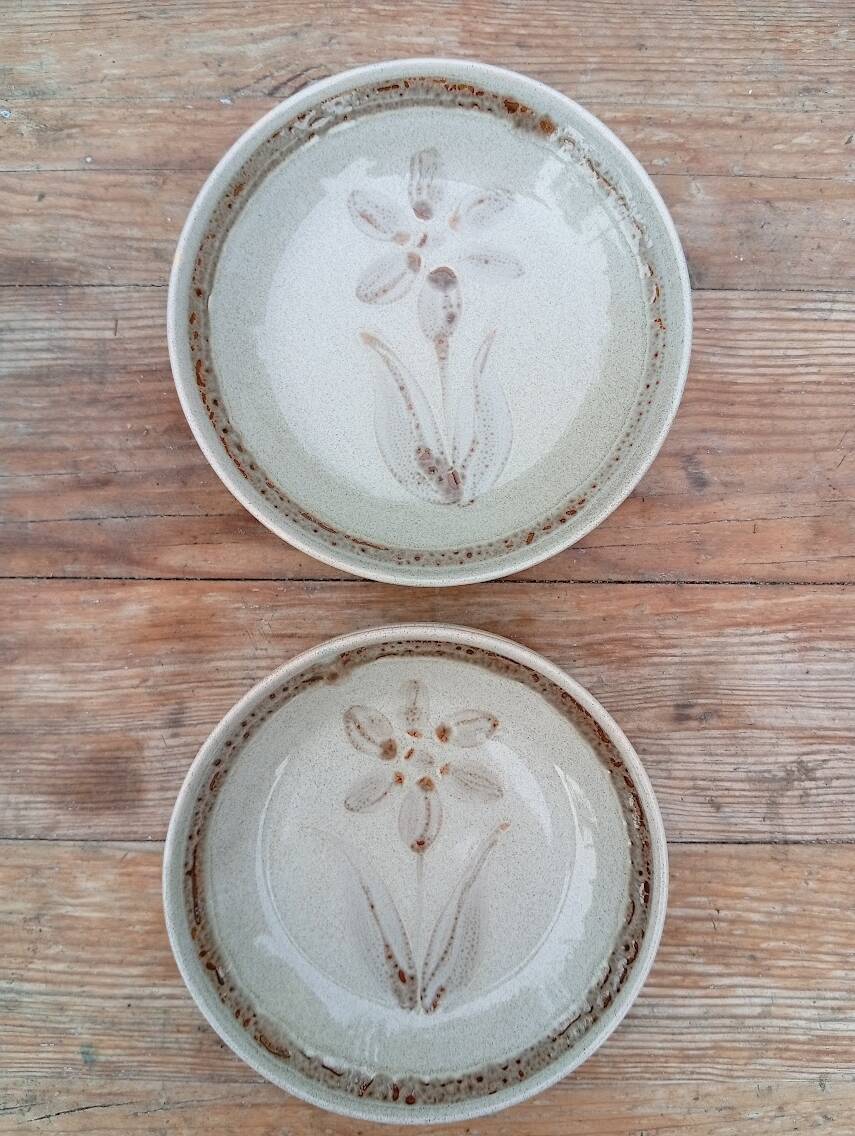 6 Sarreguemines deep plates