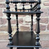 Napoleon III style blackened wood bookcase