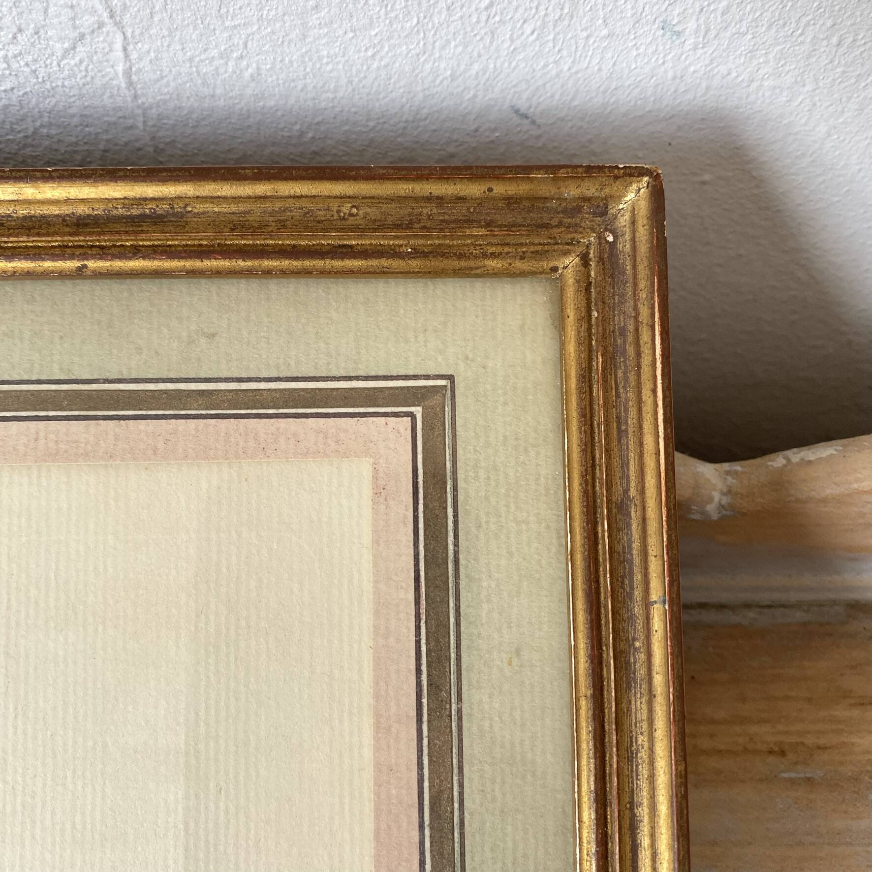 Botanical plate of white rose flowers framed.