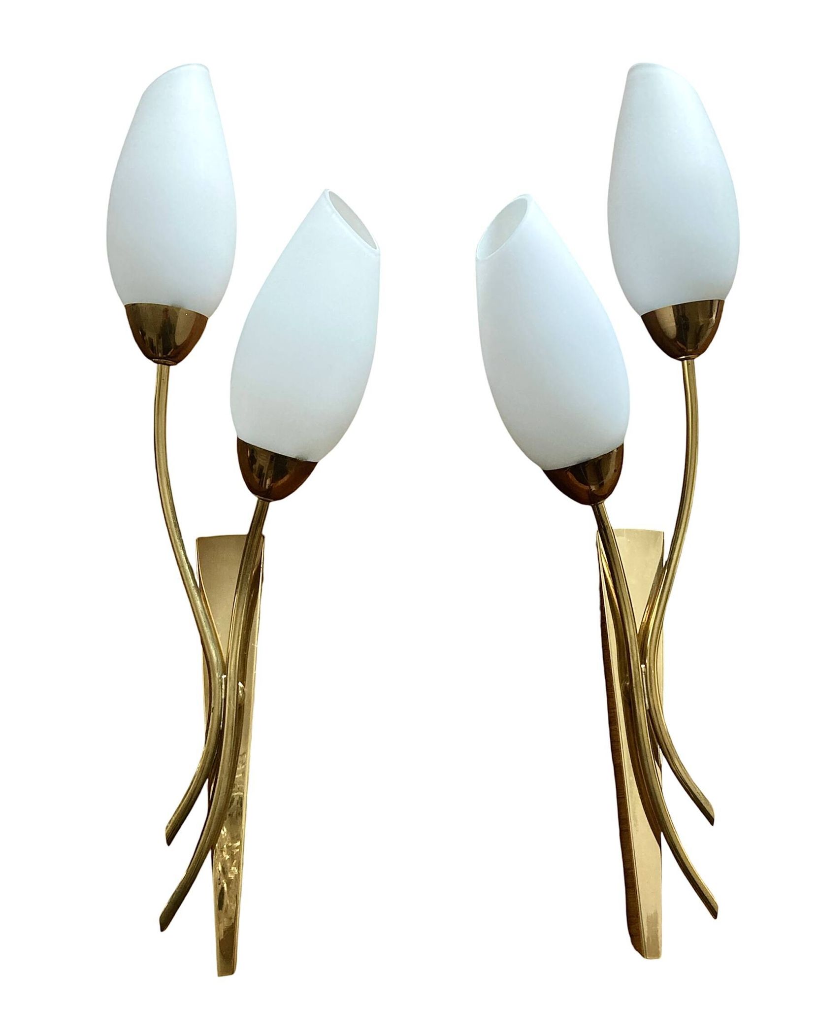 Brass and white opaline "Tulip" wall lights 1950