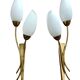 Brass and white opaline wall lights, "Tulip" type, 1950