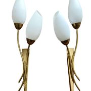 Brass and white opaline "Tulip" wall lights 1950