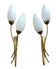 Appliques en laiton et opaline blanche "Tulipe" 1950