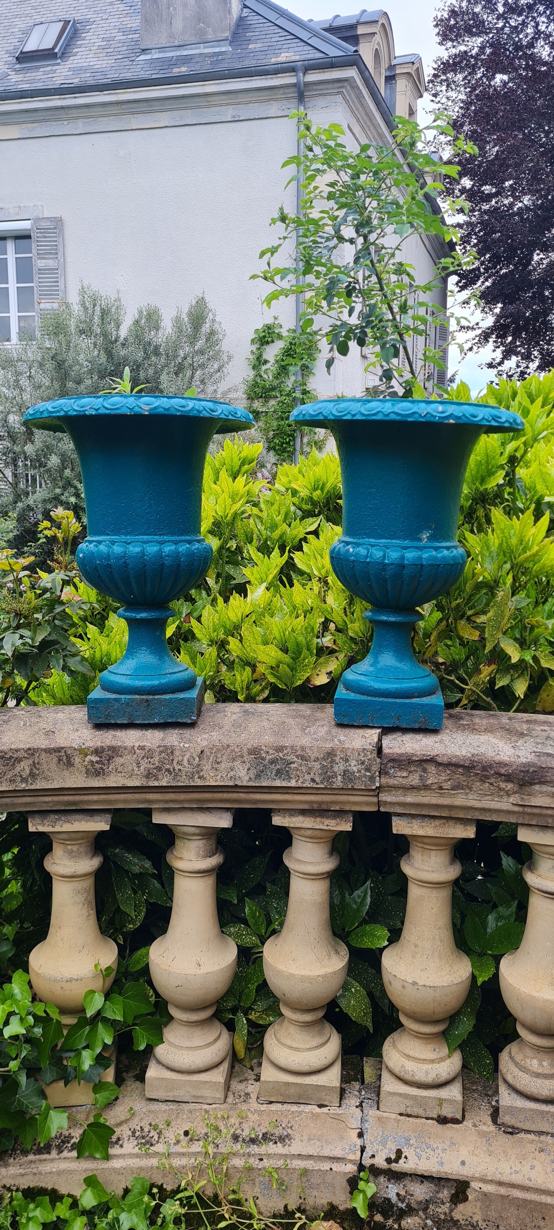 Pair of Medici vase cast iron XIX century