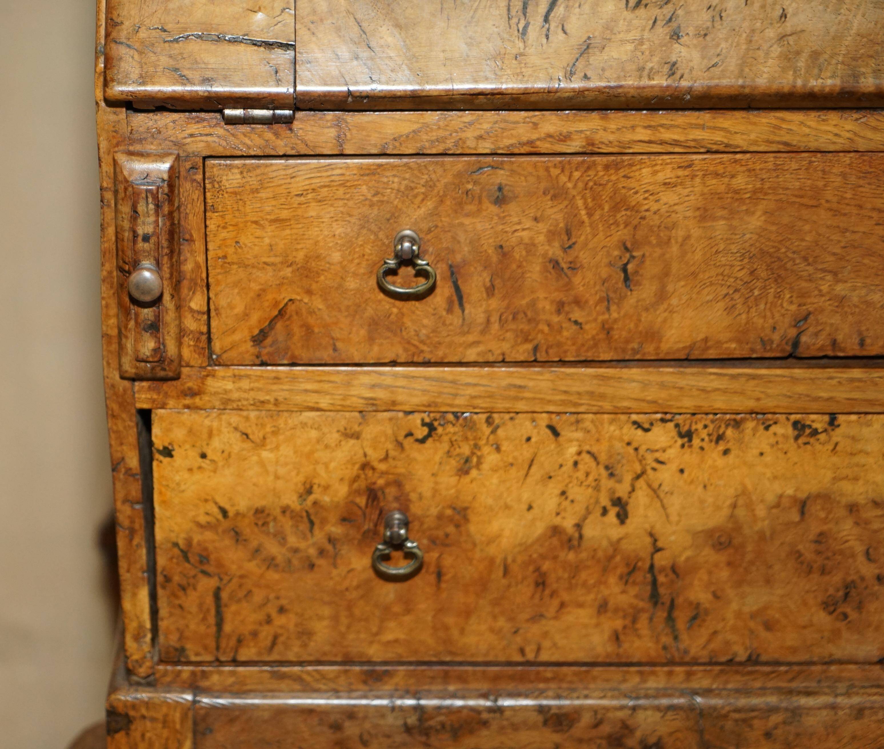 Writing desk in pollard oak from around 1800 with claw and ball carved legs.