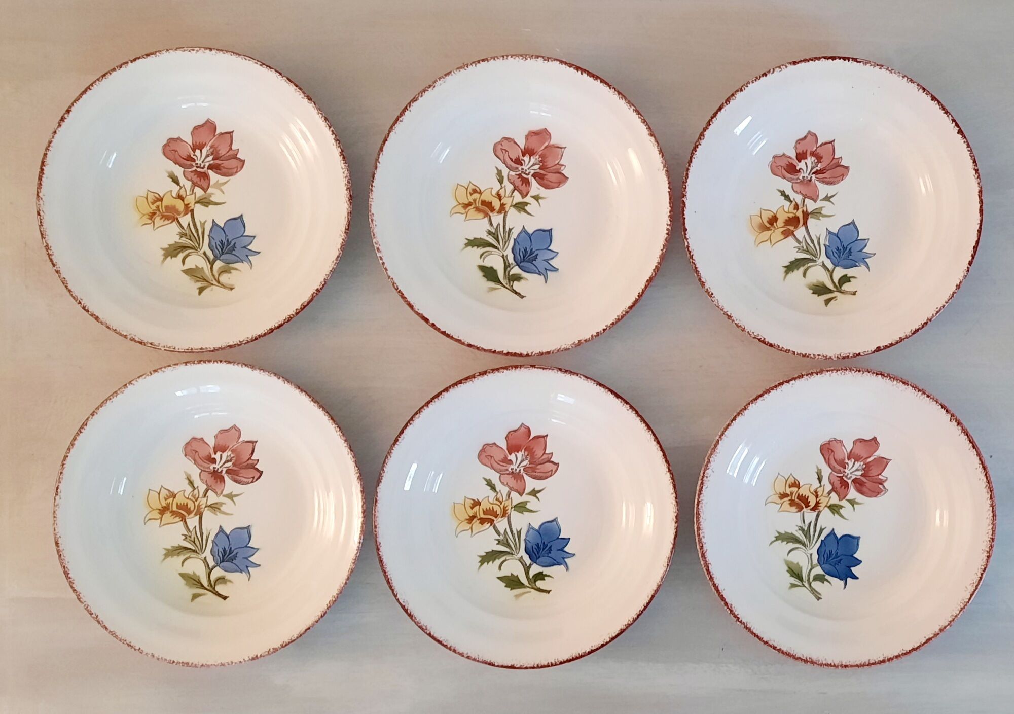 Hollow earthenware plates from Saint Amand Ceranord Vintage Maïté Model