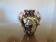 Vase "Seahorse" Cerart Monaco signed and numbered