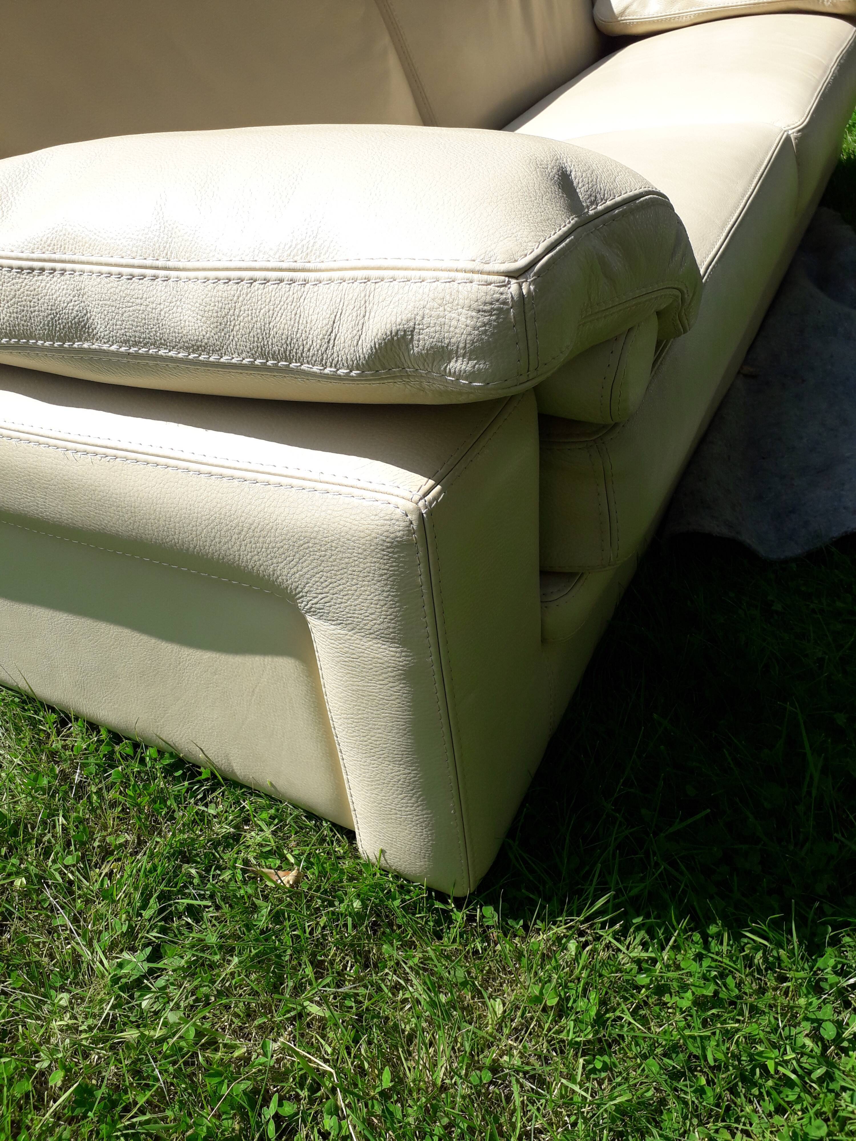 Canape cuir roche bobois