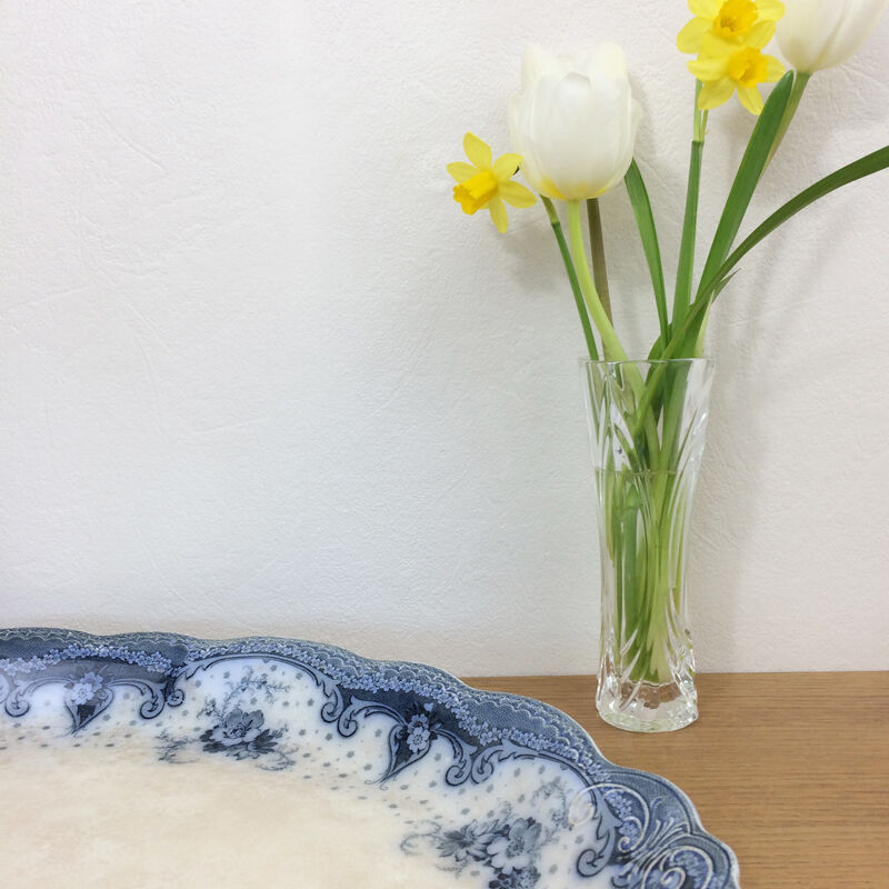 Deish english selwyn