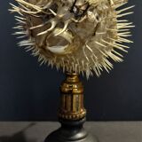 Cabinet of Curiosities naturalized fish diodon holocanthus on base