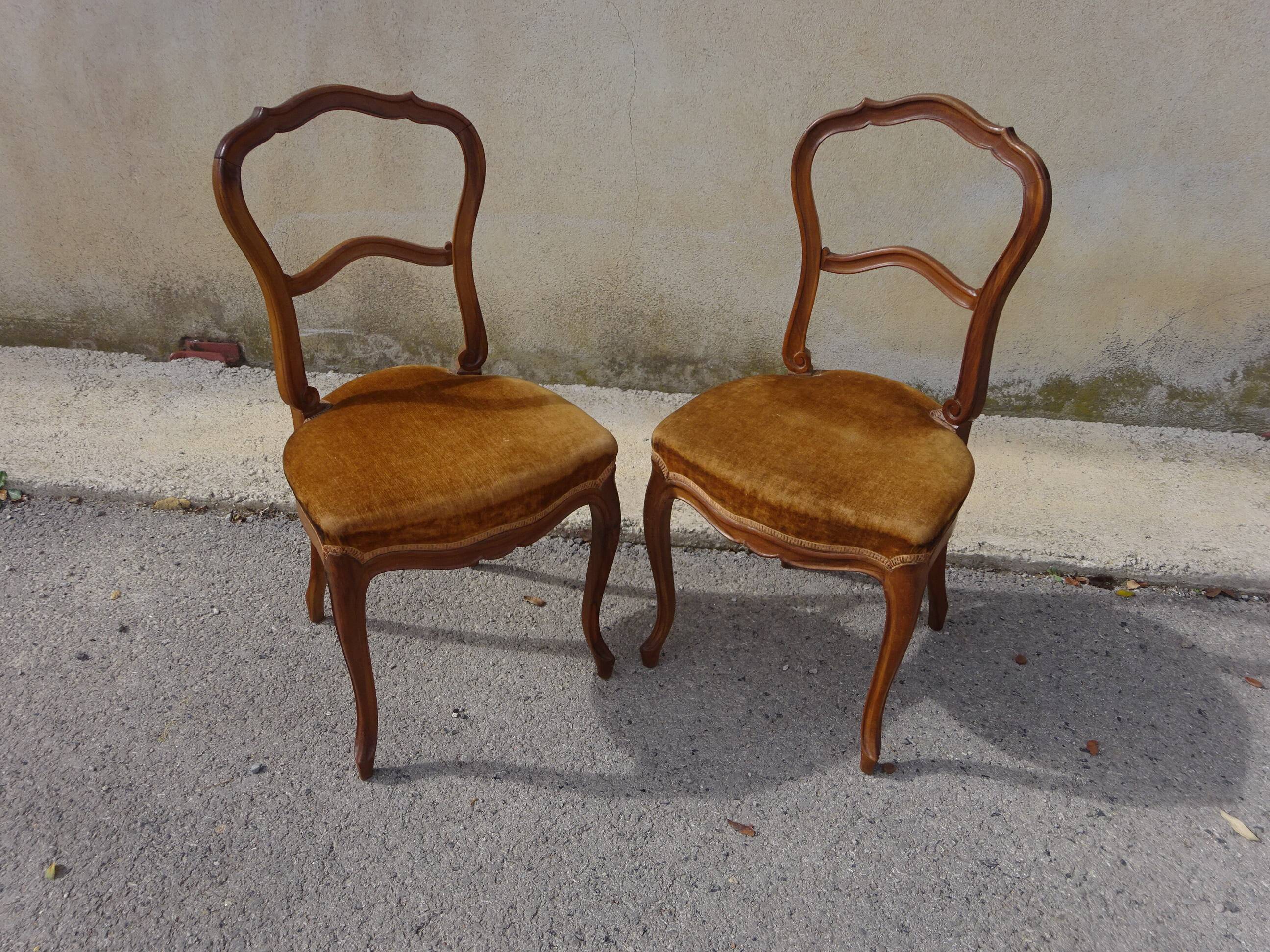 2 old chairs in walnut and velvet