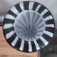 Leonardo Zebra blown glass vase