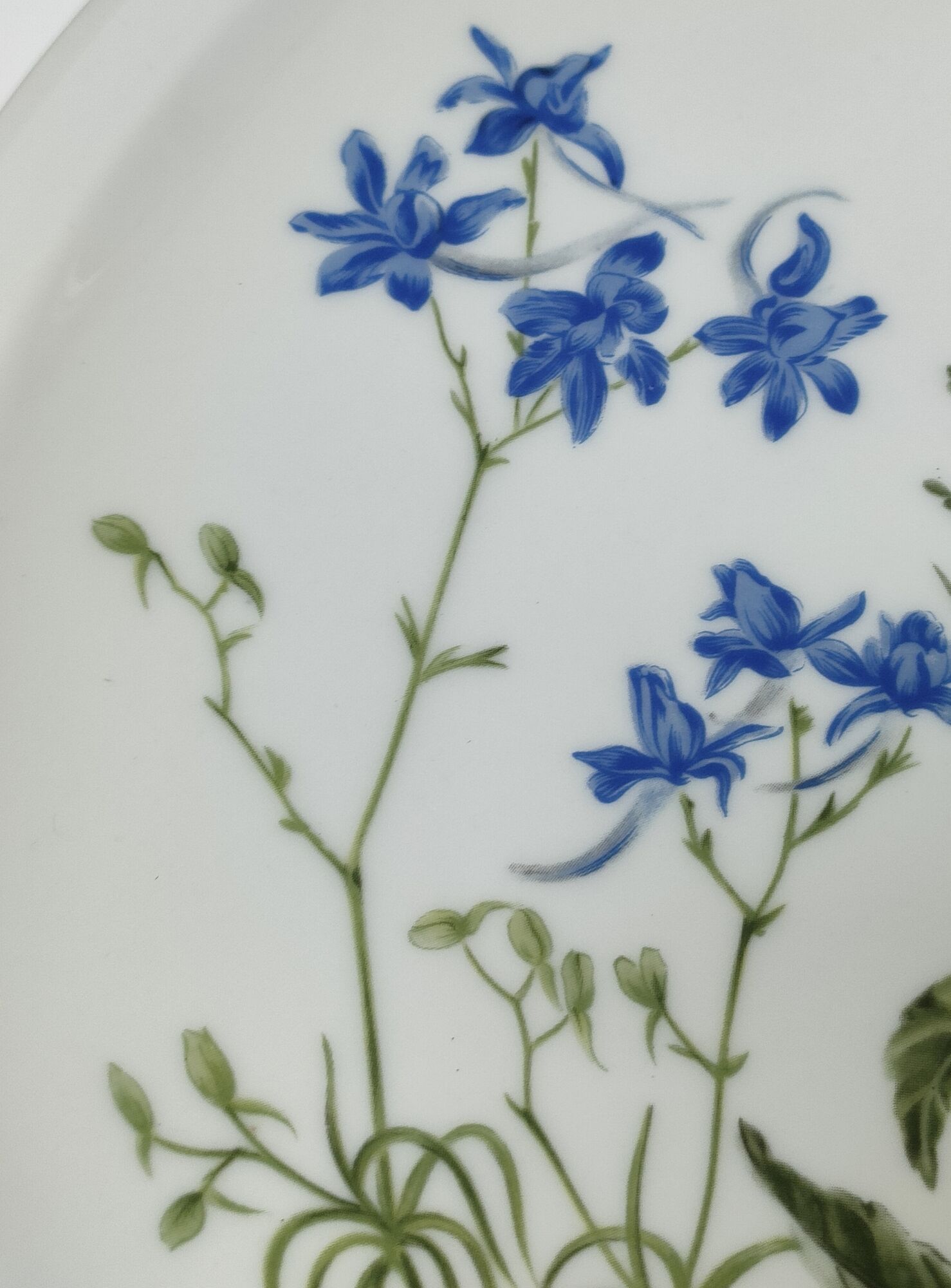 Six flat plates porcelain Bernardaud Limoges model Alcée floral decoration