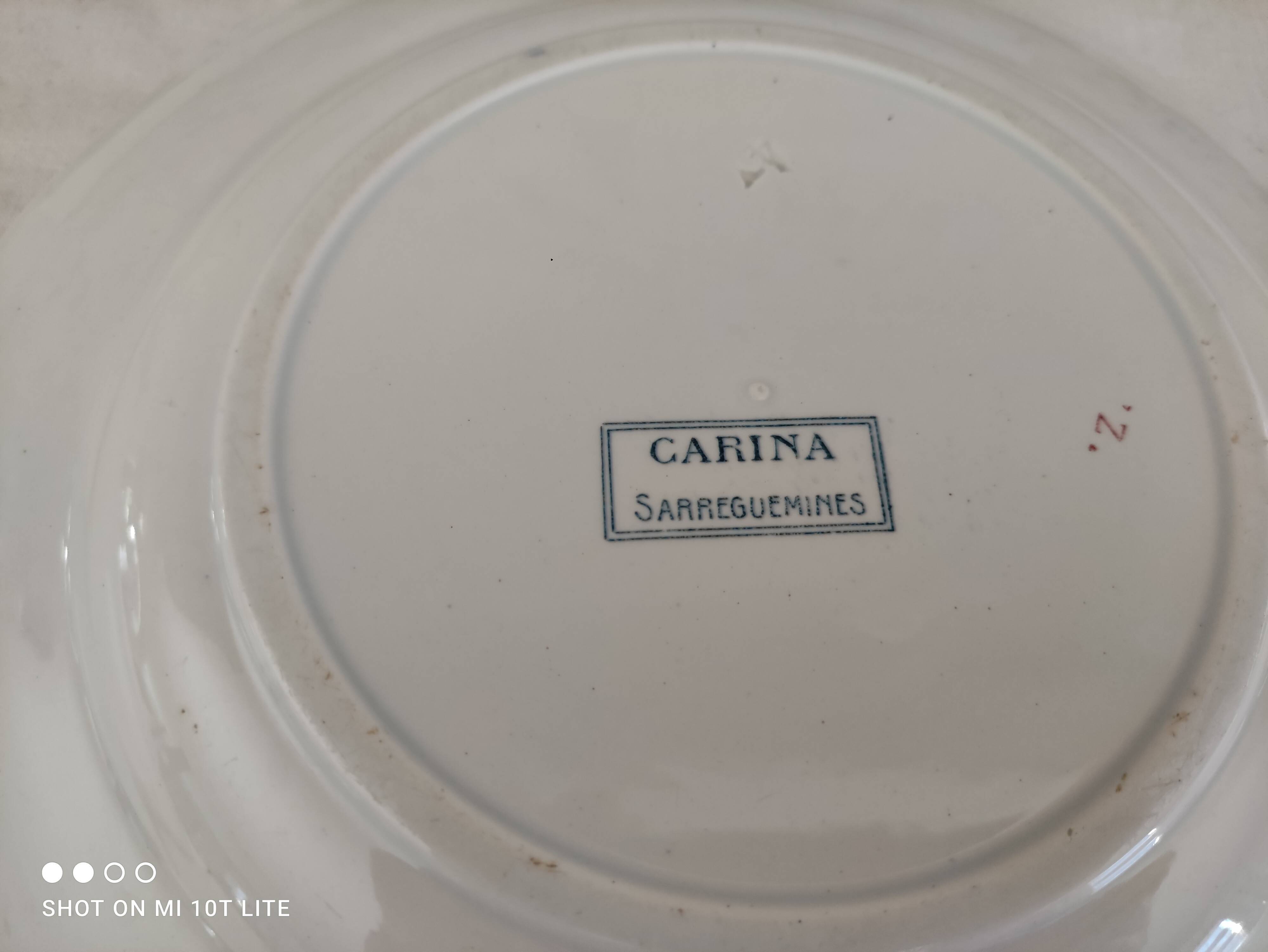 Set of 2 round dishes trundle in Iron Earth Sarreguemines model Carina decoration blue frieze