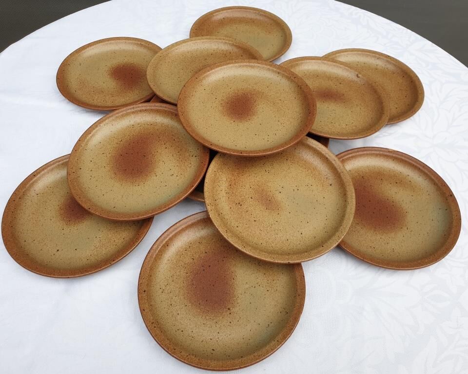 Set 12 plates and 1 dish sandstone of Burgundy Sarreguemines