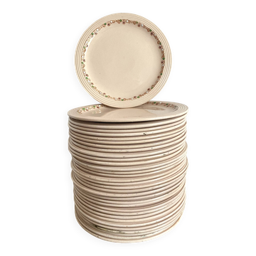 Flat plates Longwy model Betty
