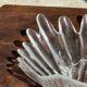 Large stylised shell bowl in vintage glass D22
