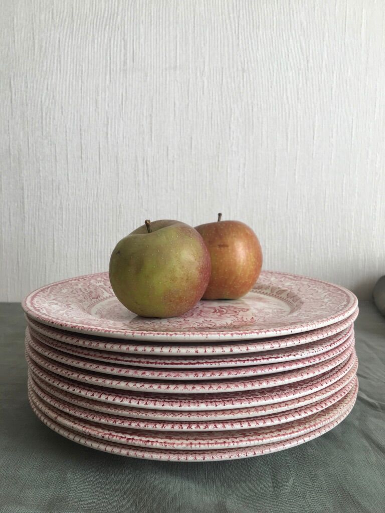 Set of 10 flat plates in English earthenware, EIT England, country décor