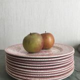 Set of 10 flat plates in English earthenware, EIT England, country décor