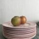 Ensemble de 10 assiettes plates en faïence anglaise, EIT England, décor champêtre