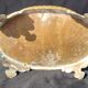 Brass planter/19th century