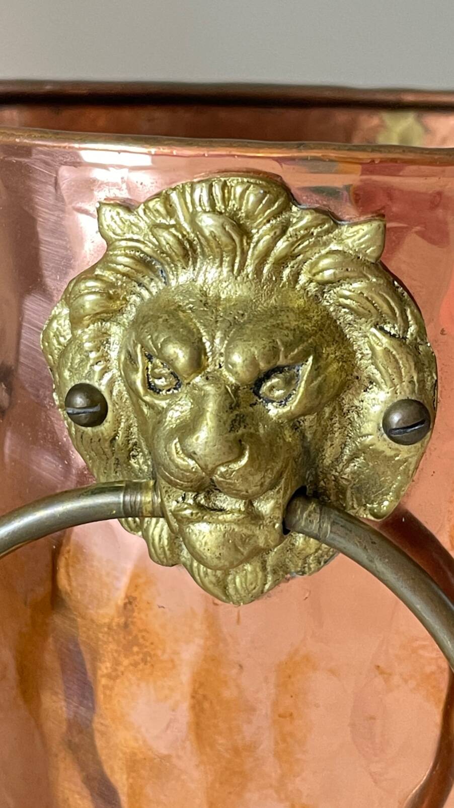 Vintage copper lion's head umbrella holder