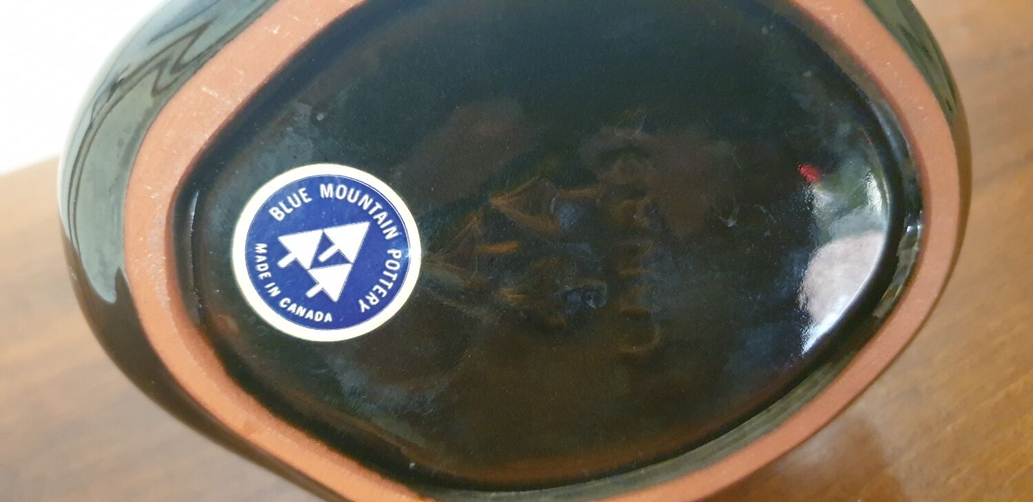 Empty pocket swan canada