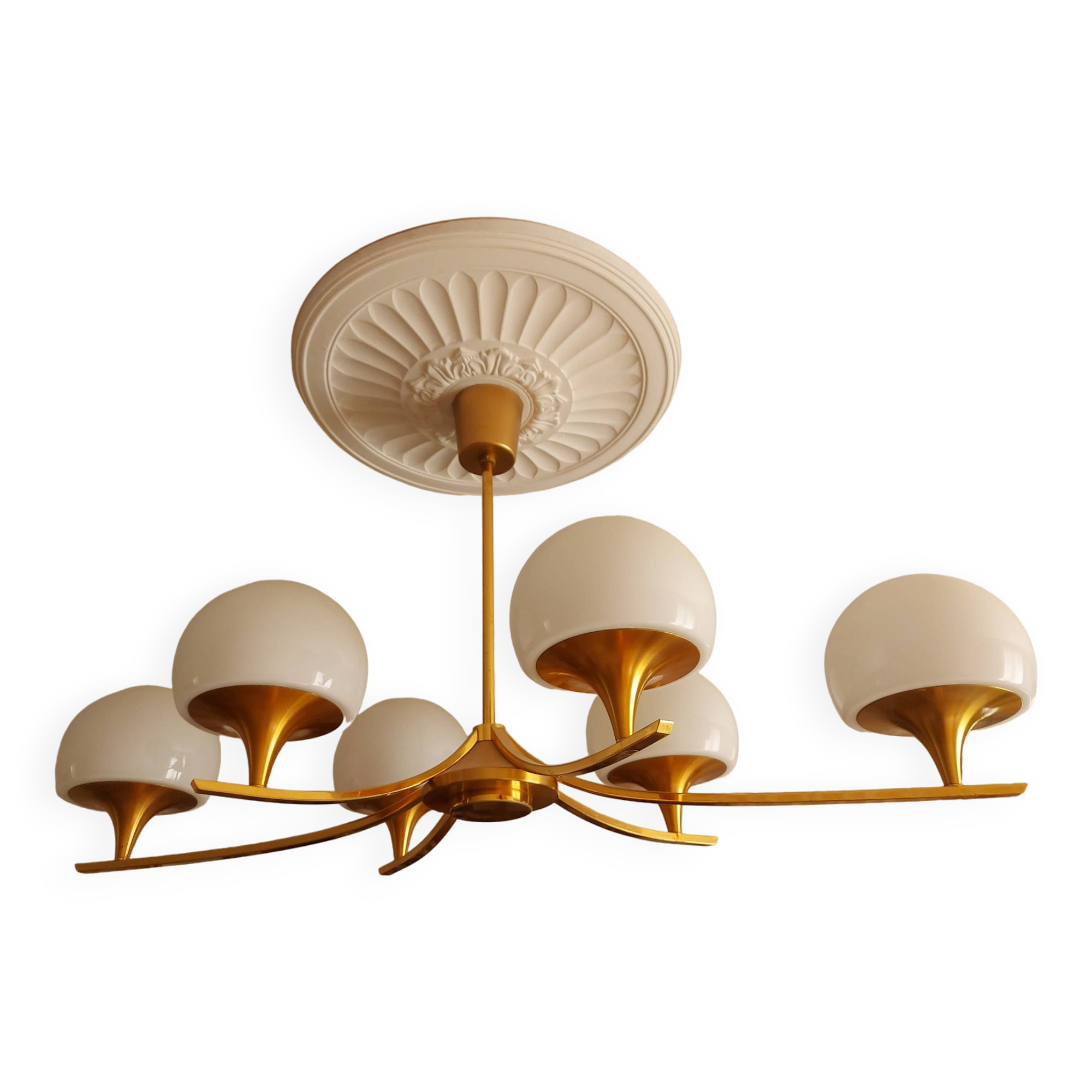 sciolari 6 lights chandelier