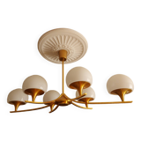 sciolari 6 lights chandelier