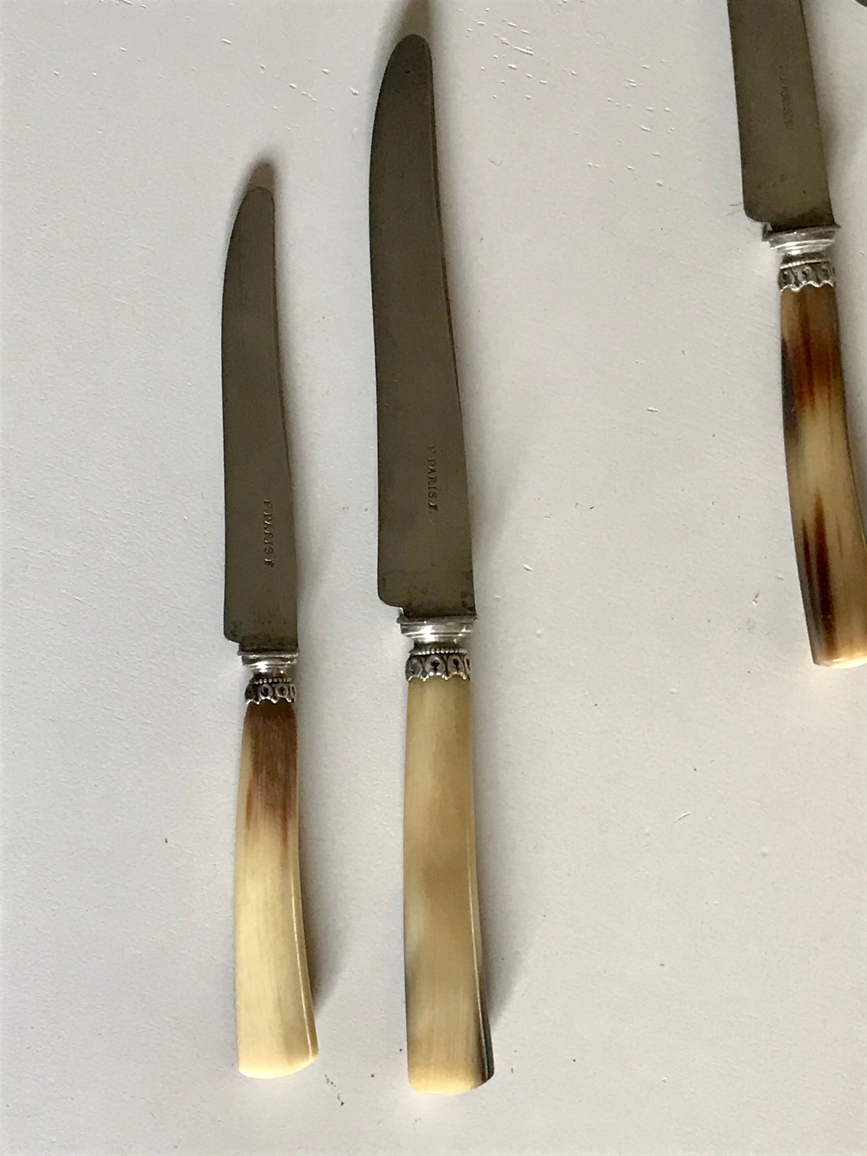 Lot of 24 horn handle knives circa 1900