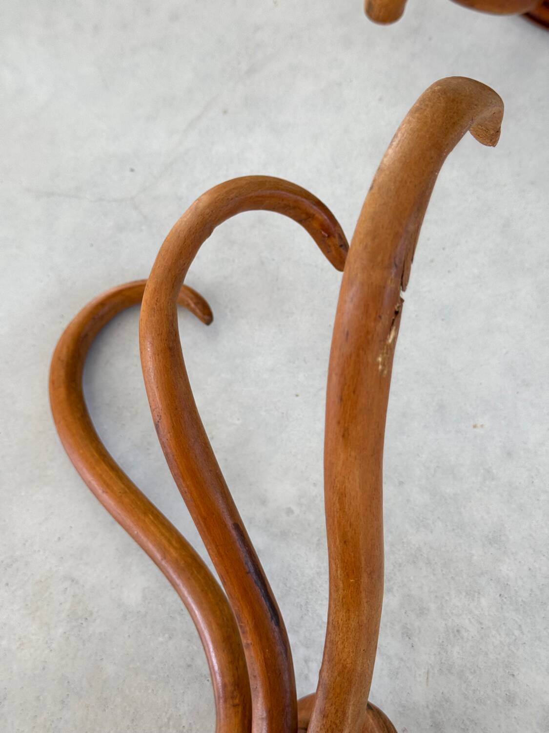 Pair of curved wooden coat racks or hooks from the 1900s