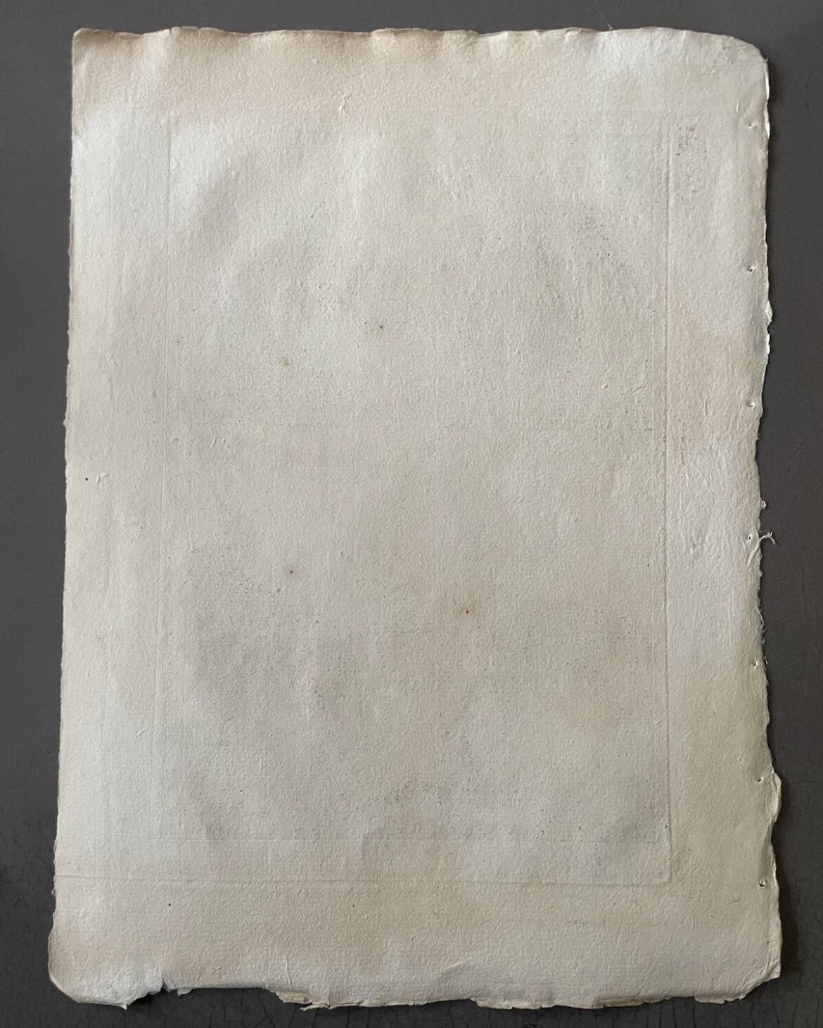 Engraving Old book 18th century Buffon, Bonnaterre, Natural history