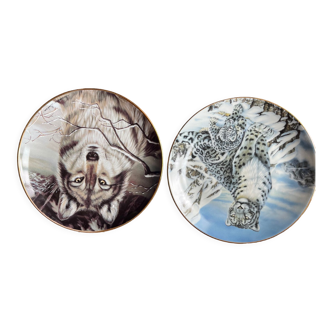 Plates collection