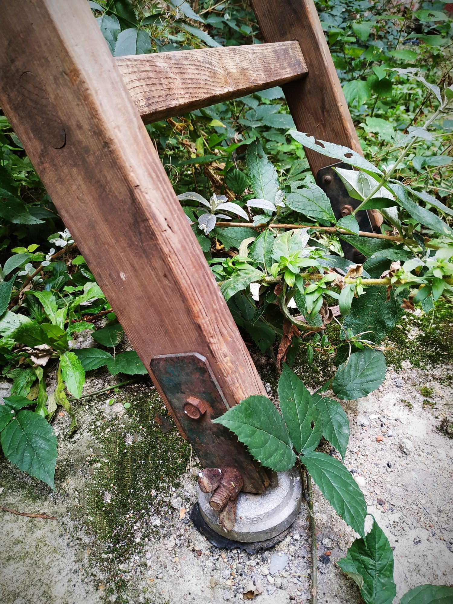 Old Cognet scale 321 cm